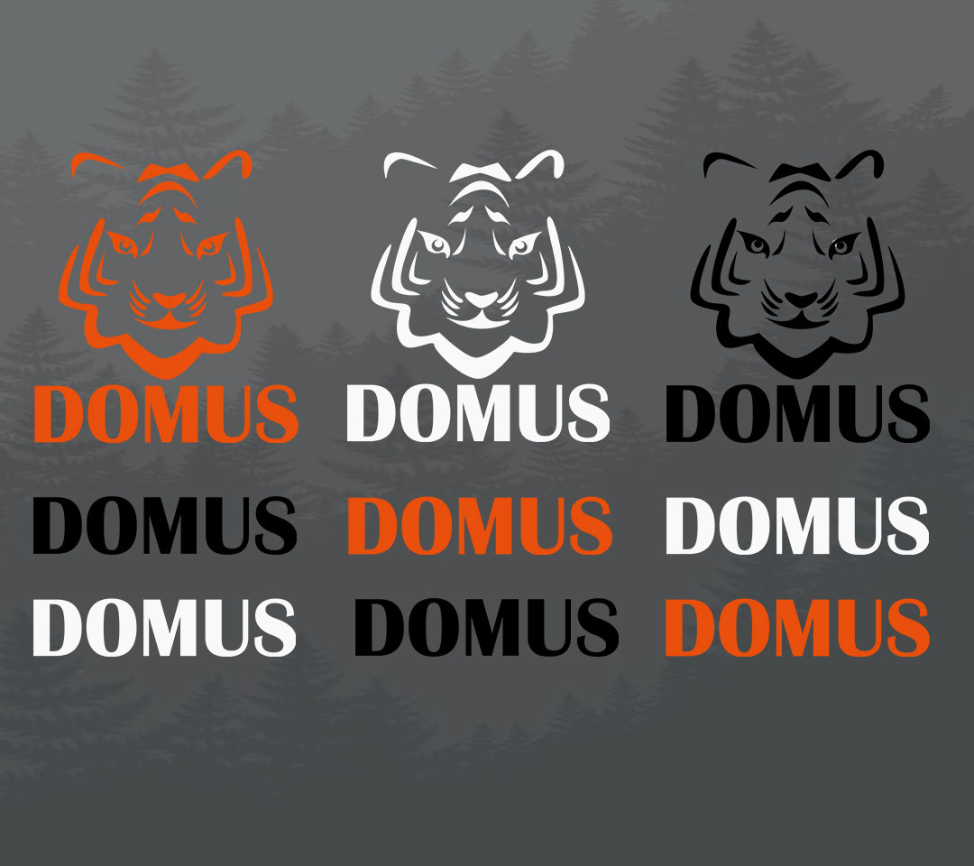 branding domus rendition image