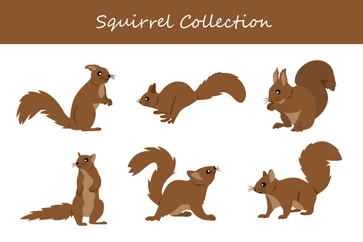 squirrel on Behance :: Behance