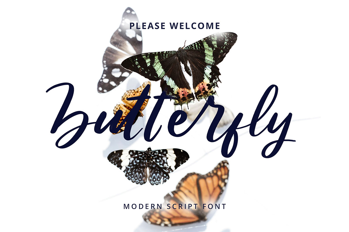 Butterfly Modern Script Font rendition image