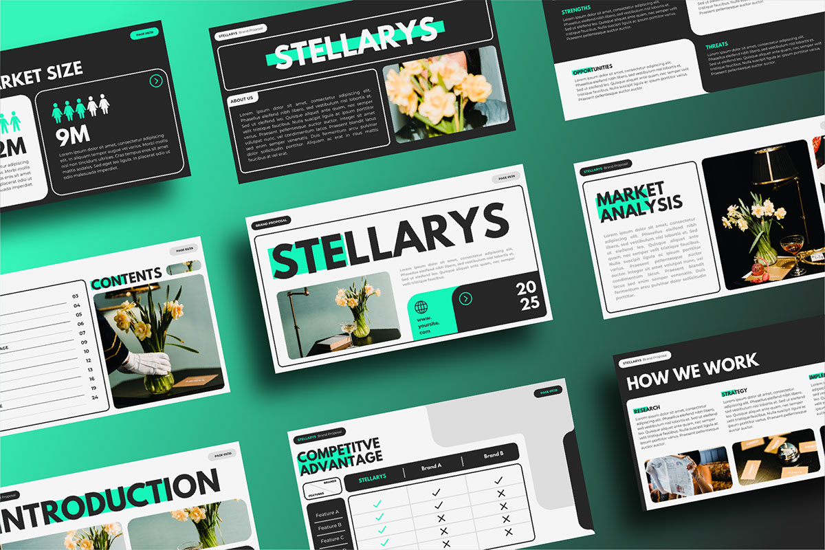 STELLARYS - Brand Proposal Presentation rendition image