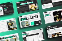 STELLARYS - Brand Proposal Presentation