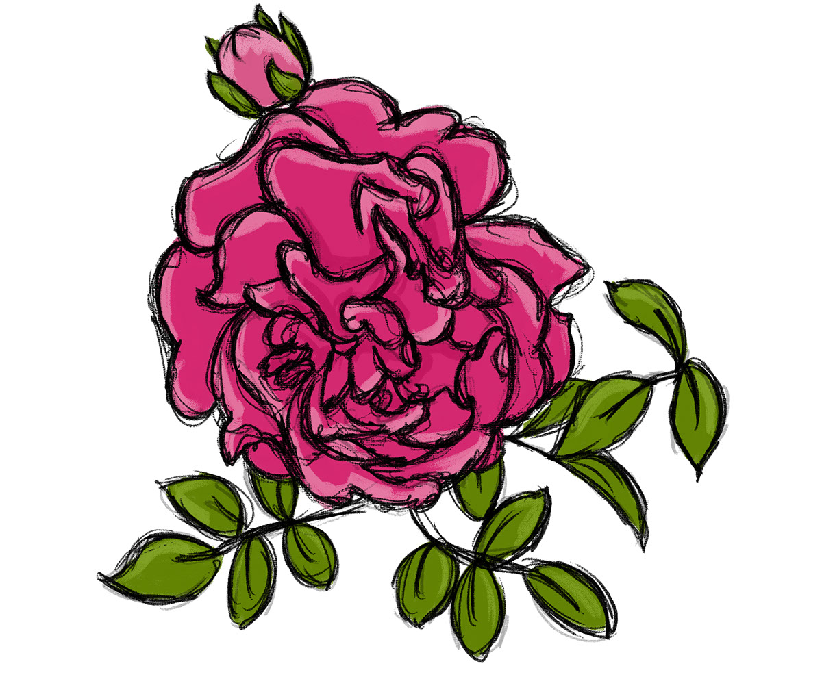 Pink Rose Flower rendition image