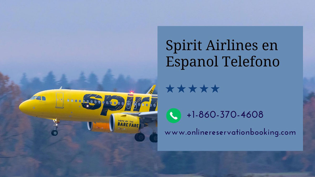SpiritAirlines rendition image
