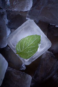 Mint Leaf in Ice Cube Macro