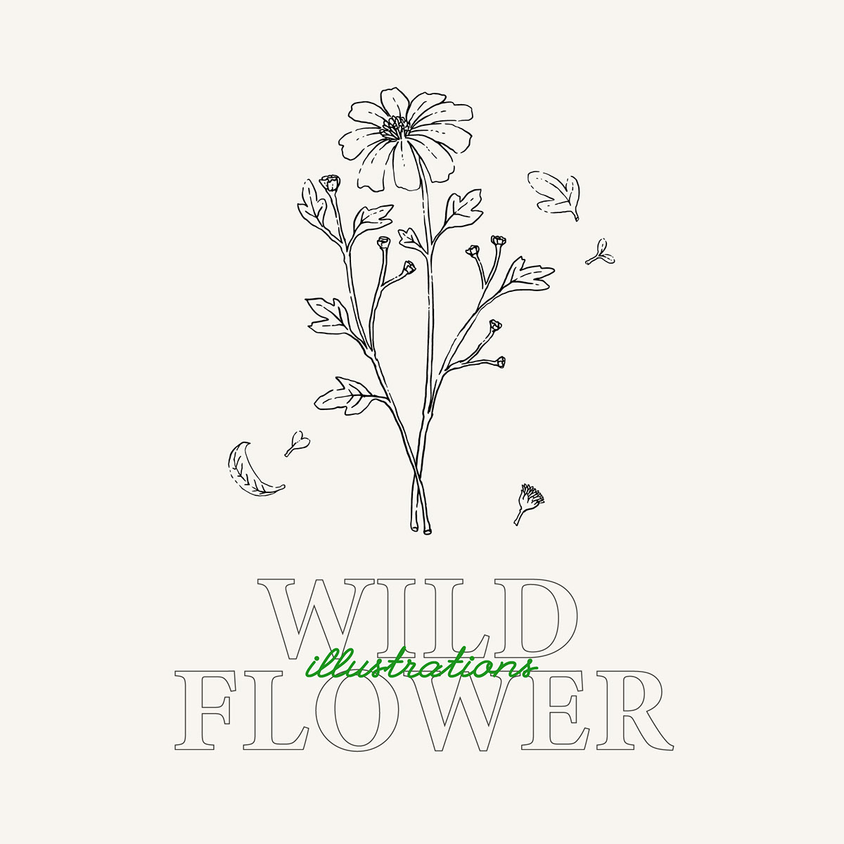 Wild Flower Hand Drawn illustration 48 elements rendition image
