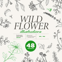 Wild Flower Hand Drawn illustration 48 elements