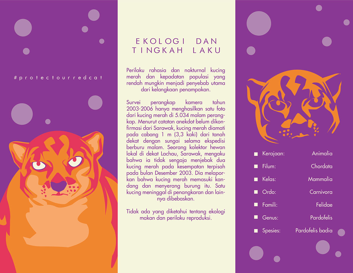 Animal Protection Brochure Design rendition image