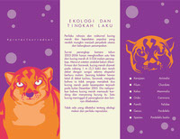 Animal Protection Brochure Design