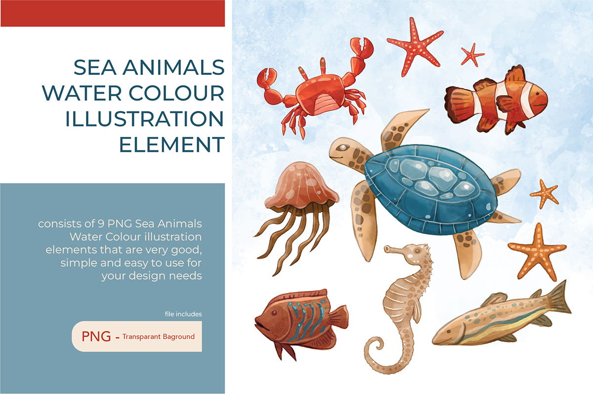 Sea Animals watercolour illustration rendition image
