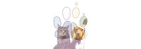 Cat and Dog Paw Effect