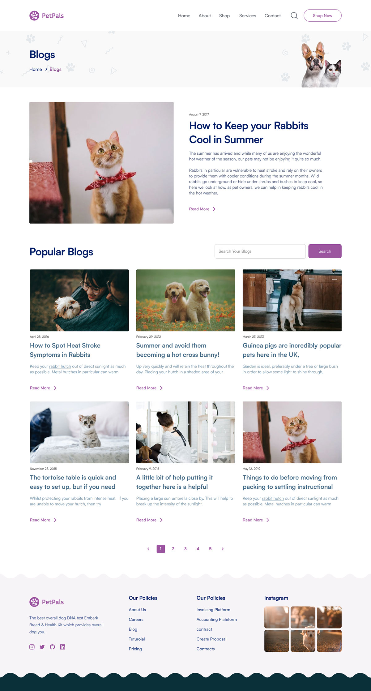 Pet Business Website Design rendition image