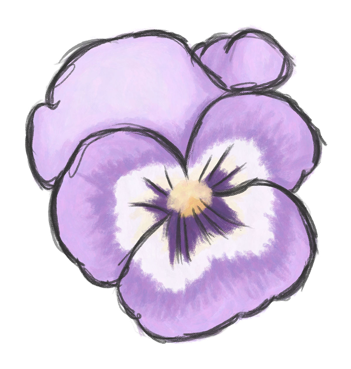 Pansy Flower rendition image