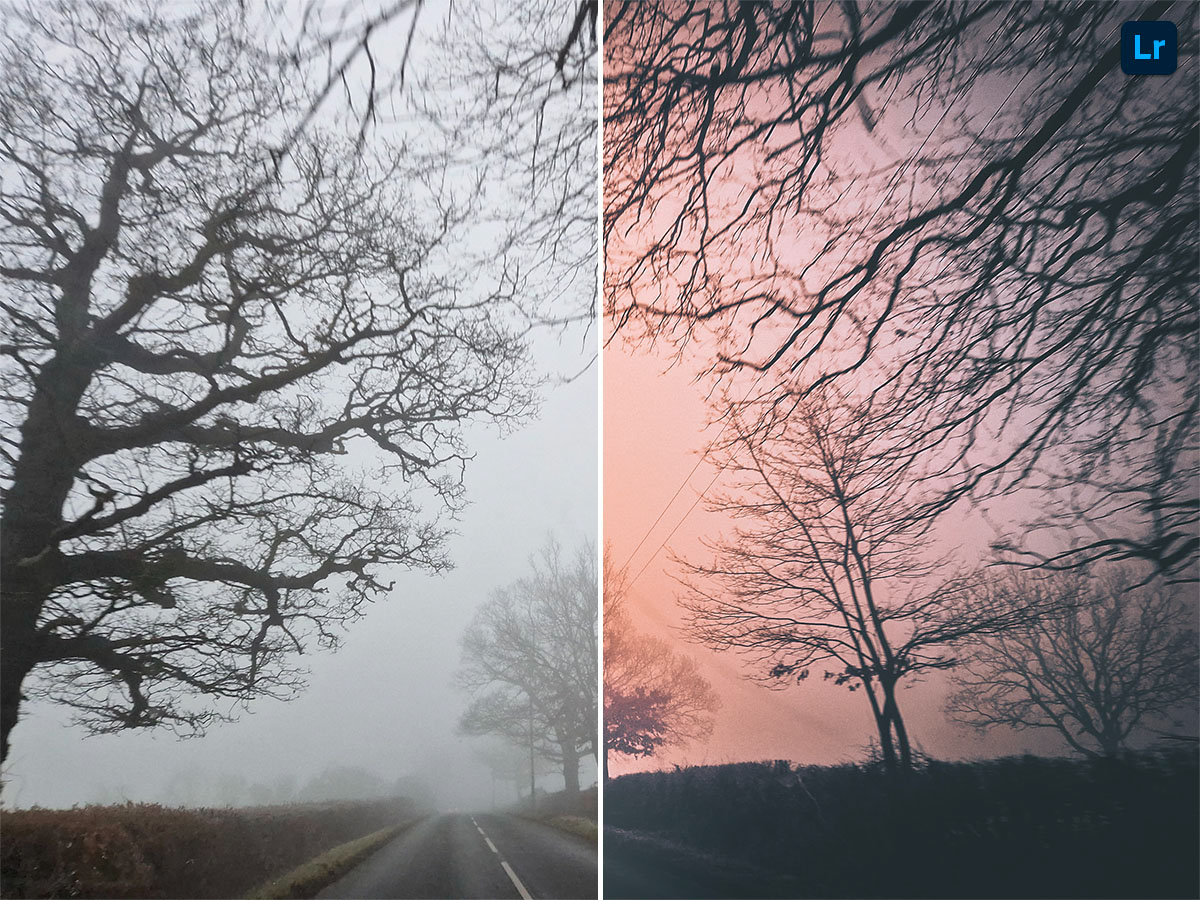 Misty morning Edit Lightroom