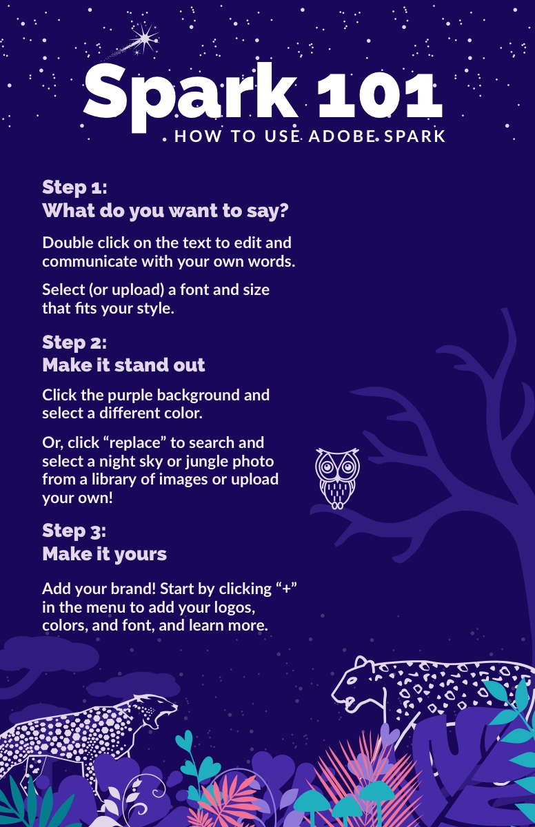 Project instructions