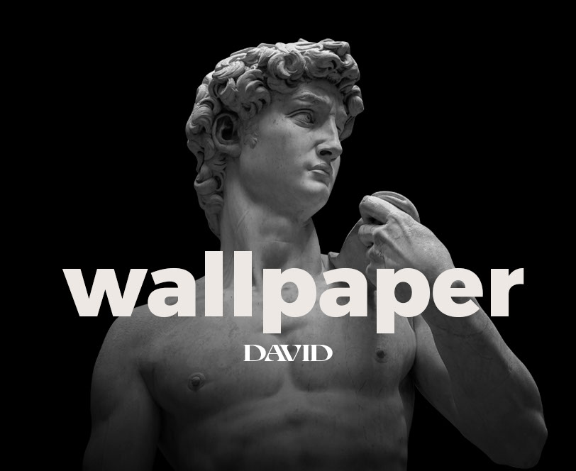 WALLPAPER DAVID rendition image