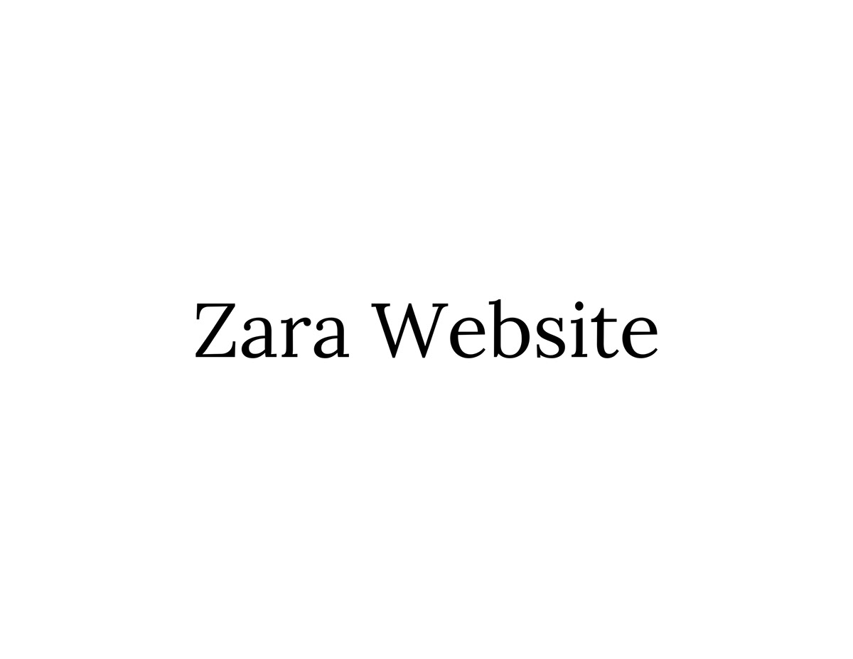 Zara Website rendition image
