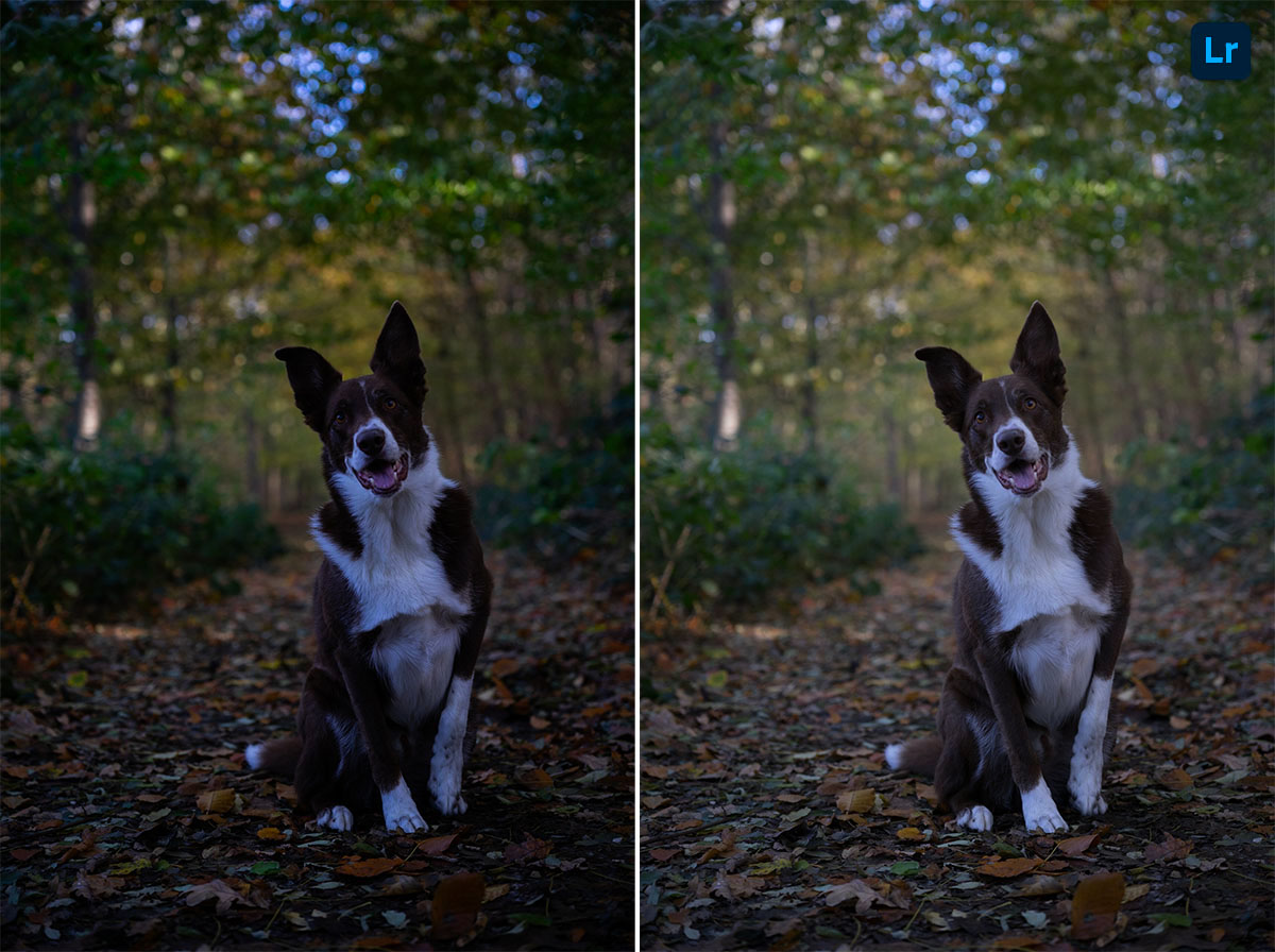 Jack Remix Photoshop Lightroom