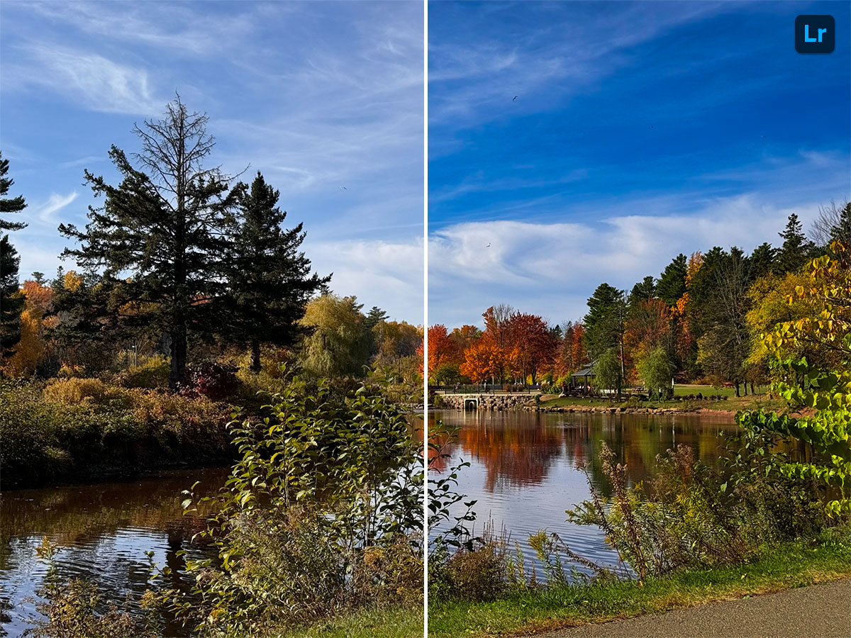 Nature Walk | Edit | Photoshop Lightroom