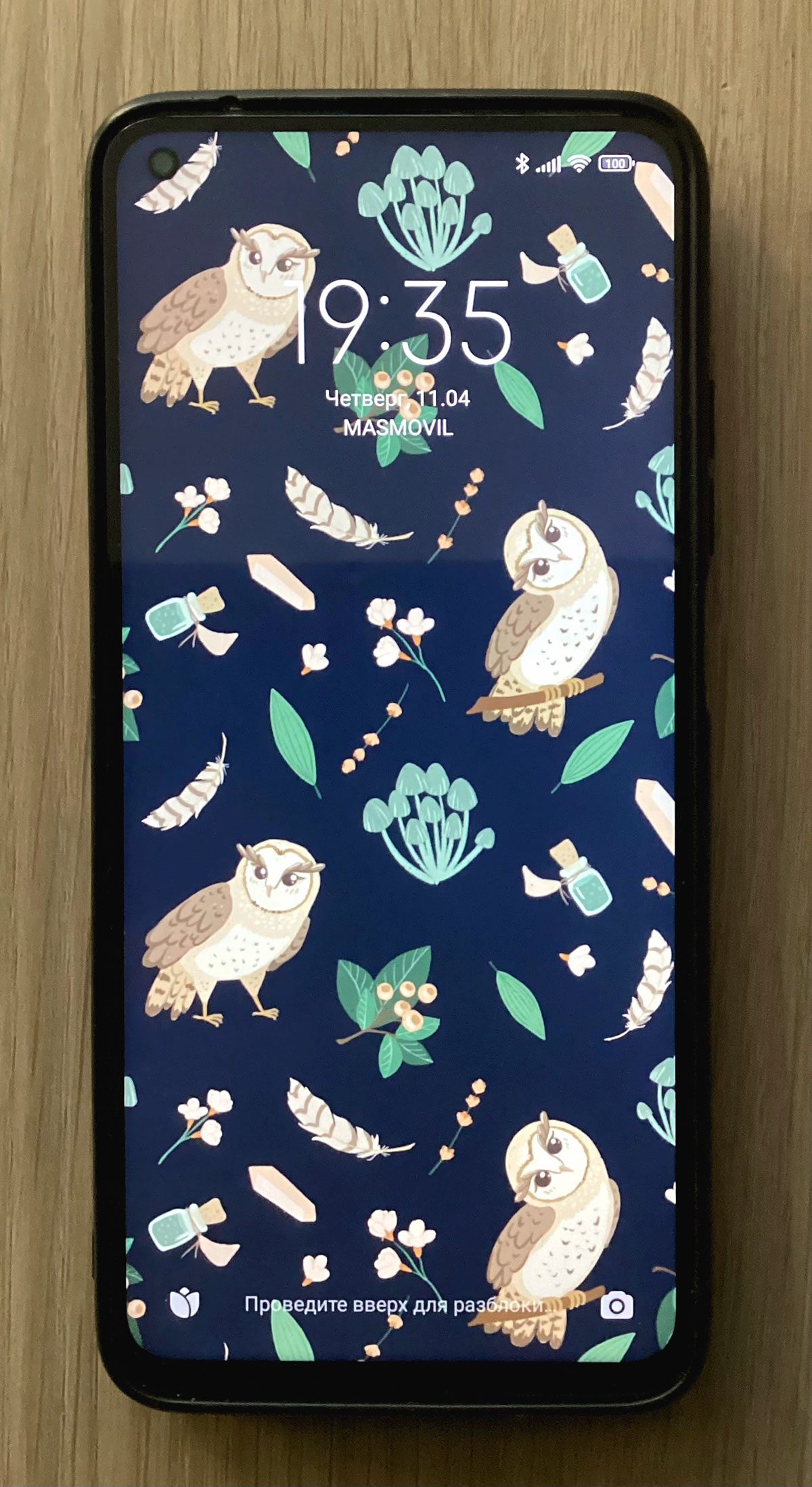 Cute_owls_for_cellphone rendition image