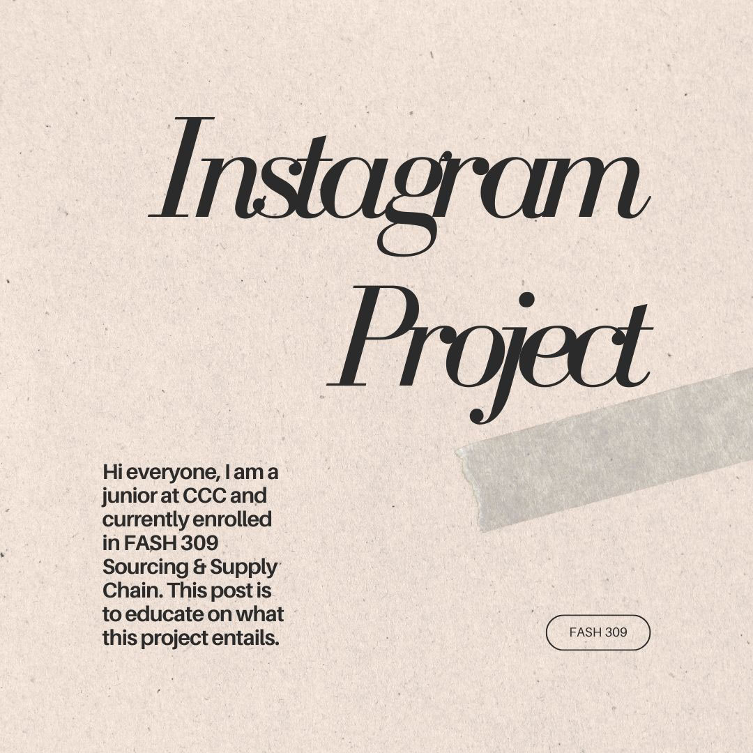 Sourcing and Supply Chain Instagram Project rendition image