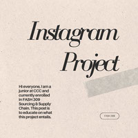 Sourcing and Supply Chain Instagram Project