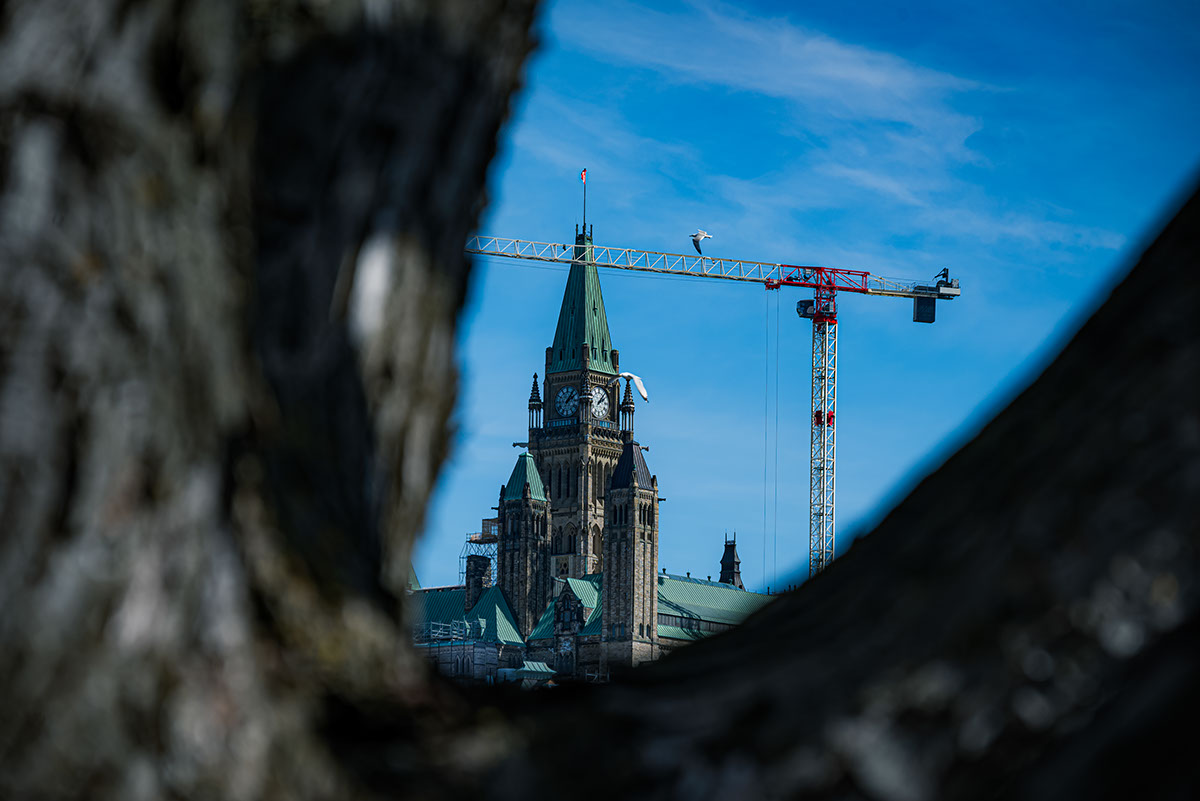 A sneak Peak of the Parliament Hill rendition image