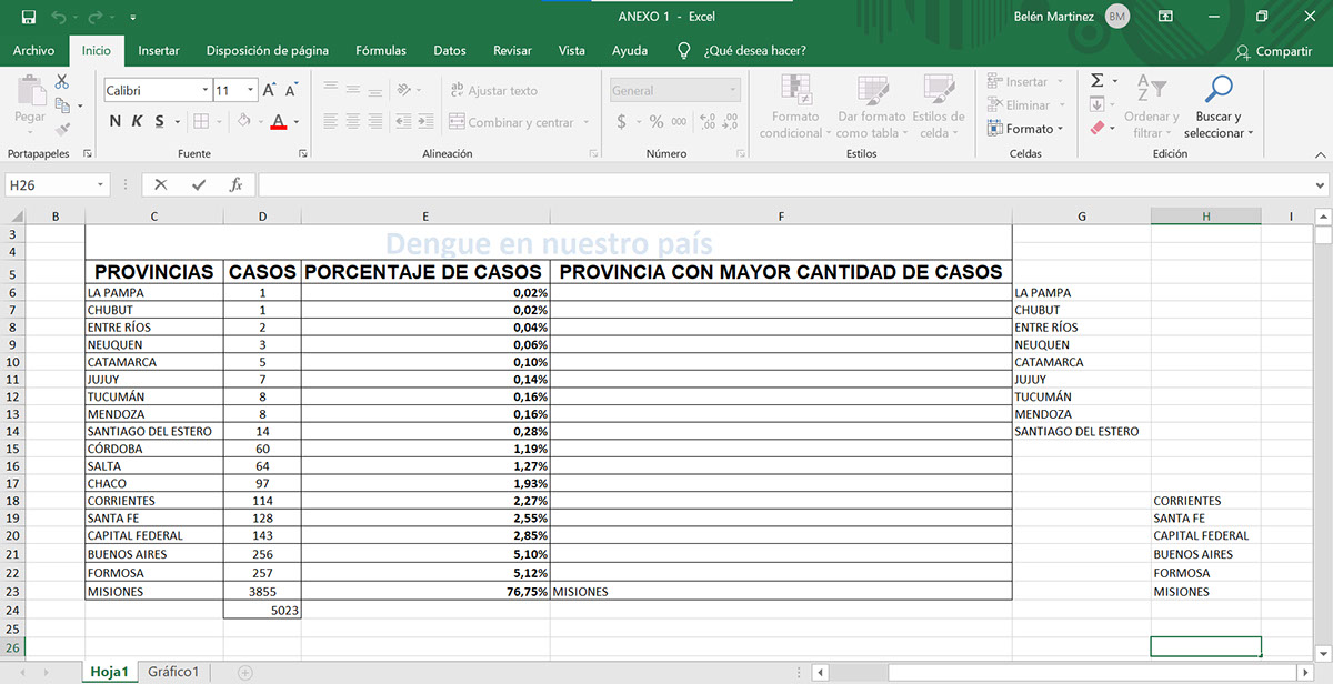Data Entry en Excel rendition image