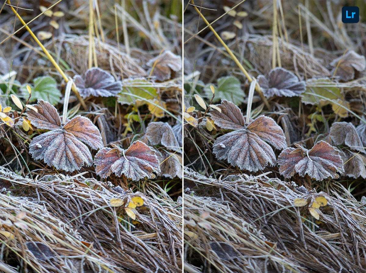 Frost Remix Photoshop Lightroom