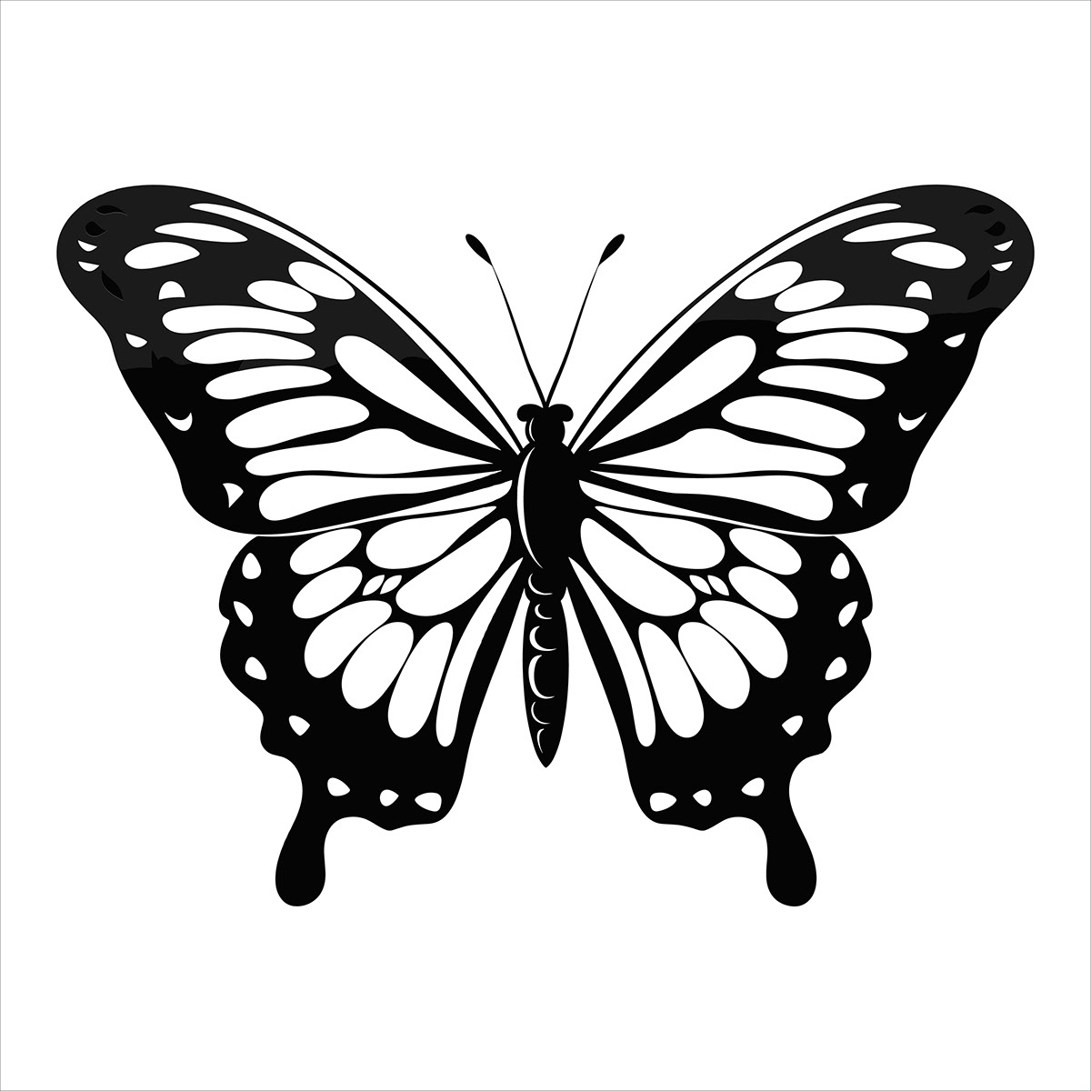 Elegant Monochrome Butterfly Illustration on Behance :: Behance
