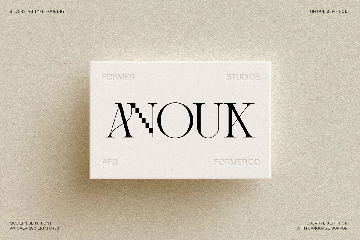 Amelie Fierce - Display Serif Font rendition image