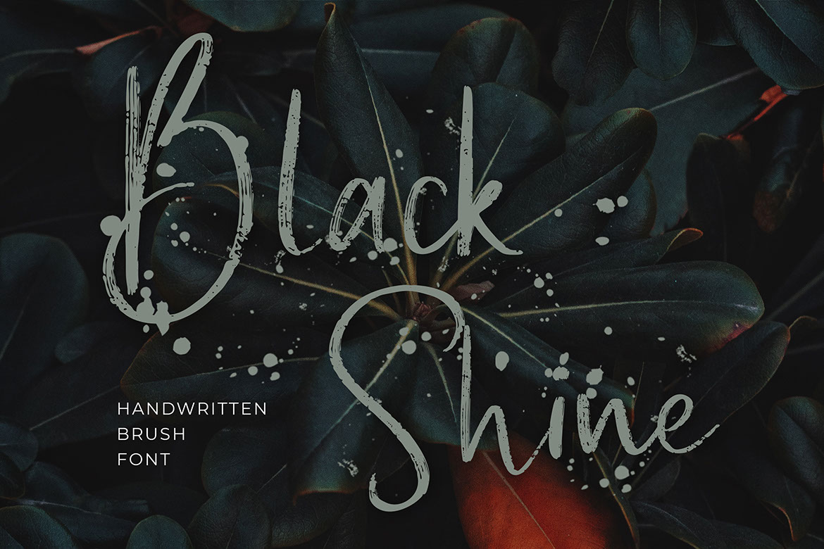 Black Shine Handwritten Script Brush Font rendition image