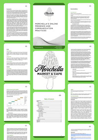 Relatorio de Praticas de Comunicacao e Presenca Digital do Morchella Market e Cafe