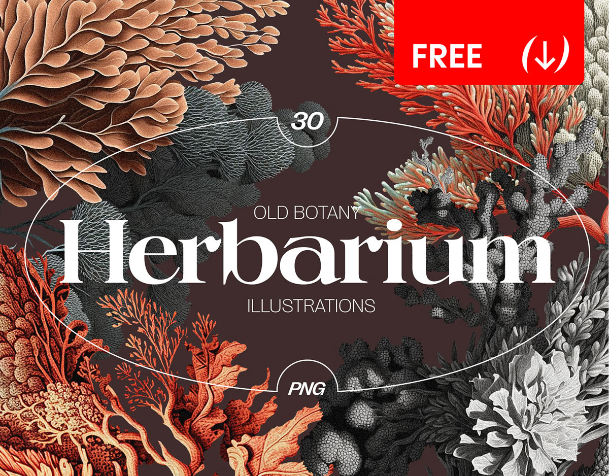 Herbarium DOWNLOAD LINK rendition image