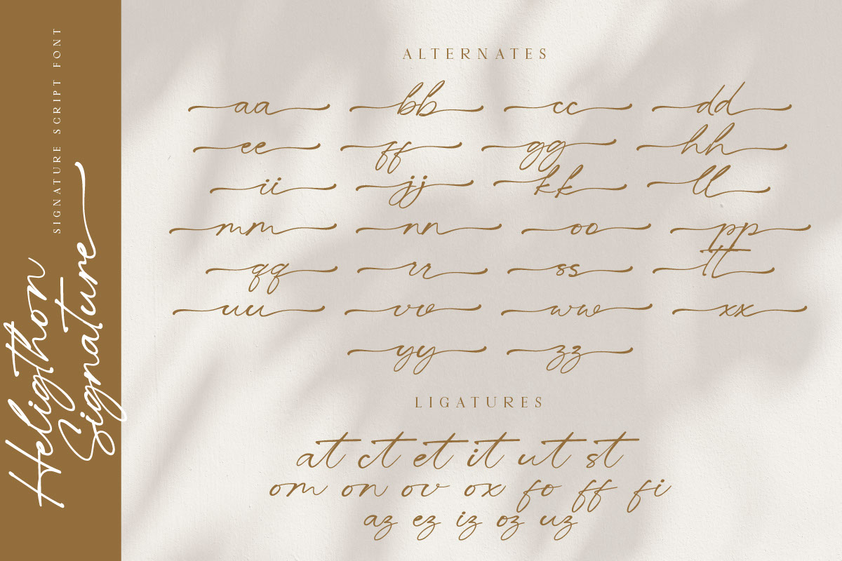 Heligthon - Signature Script Font rendition image