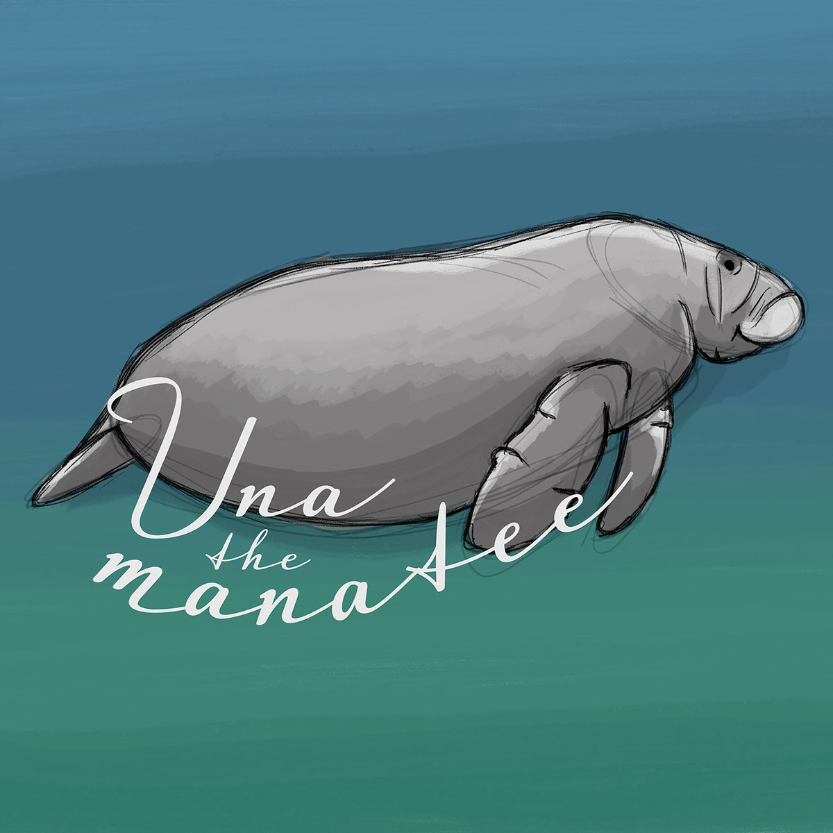 Manatee Illustration Right Side rendition image