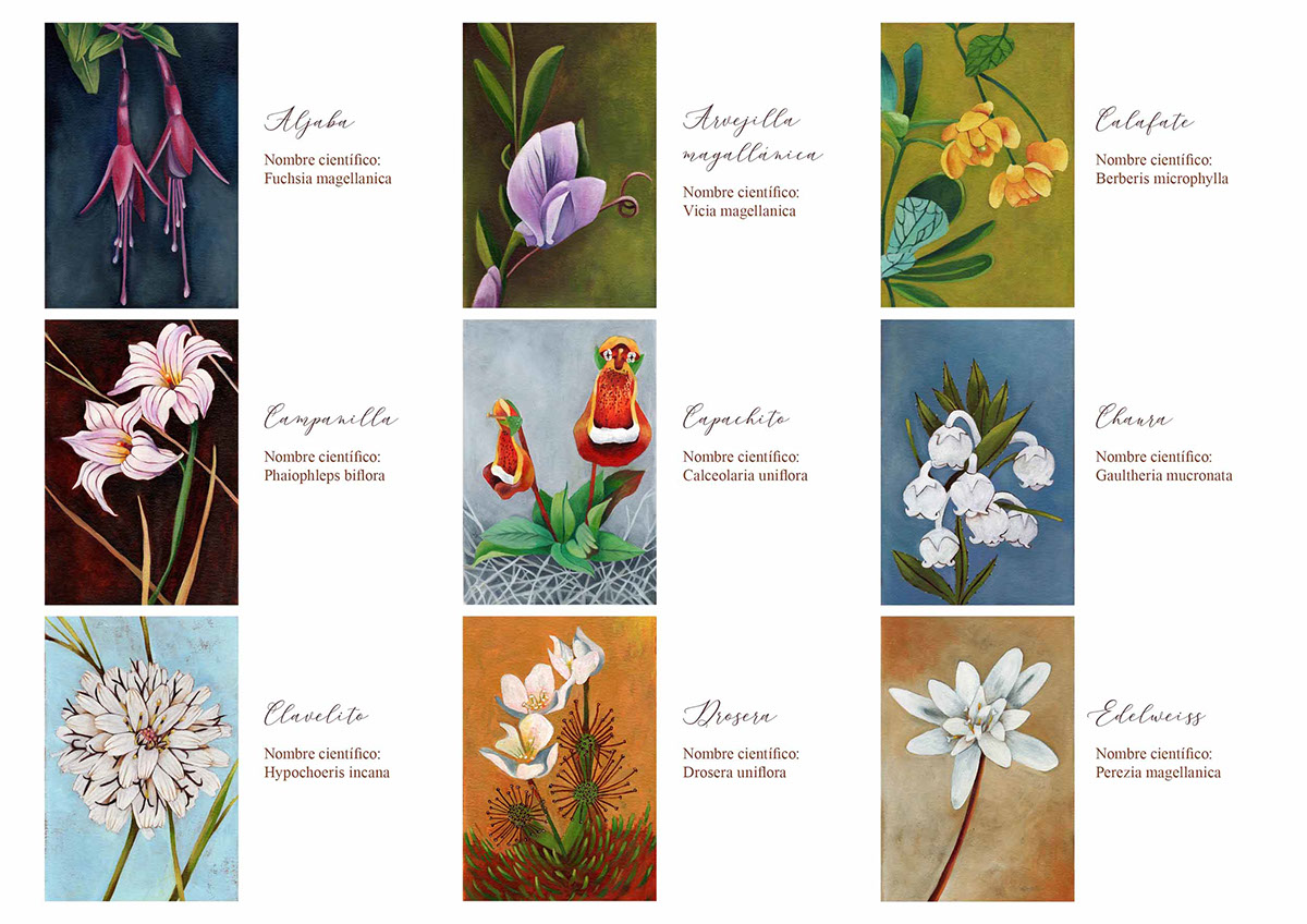 Las Flores de Tierra del Fuego rendition image