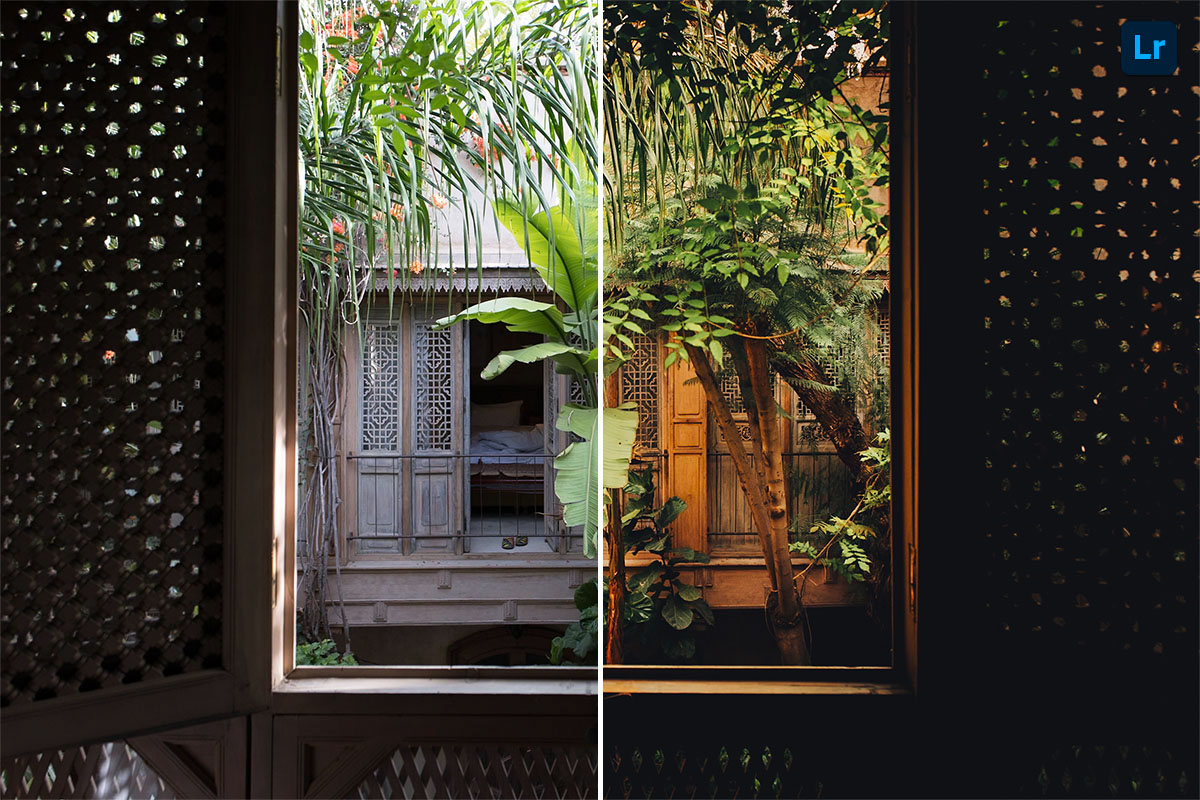 The Silent Jungle Window | Edit | Photoshop Lightroom