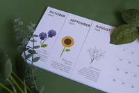 Sunday version - The flower 2024 calendar