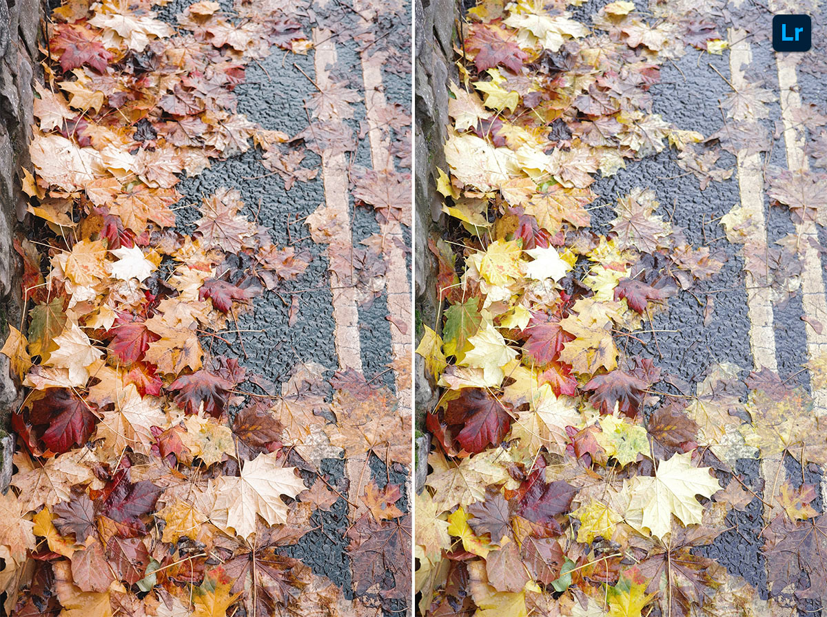 Falling🍂 | Edit | Photoshop Lightroom