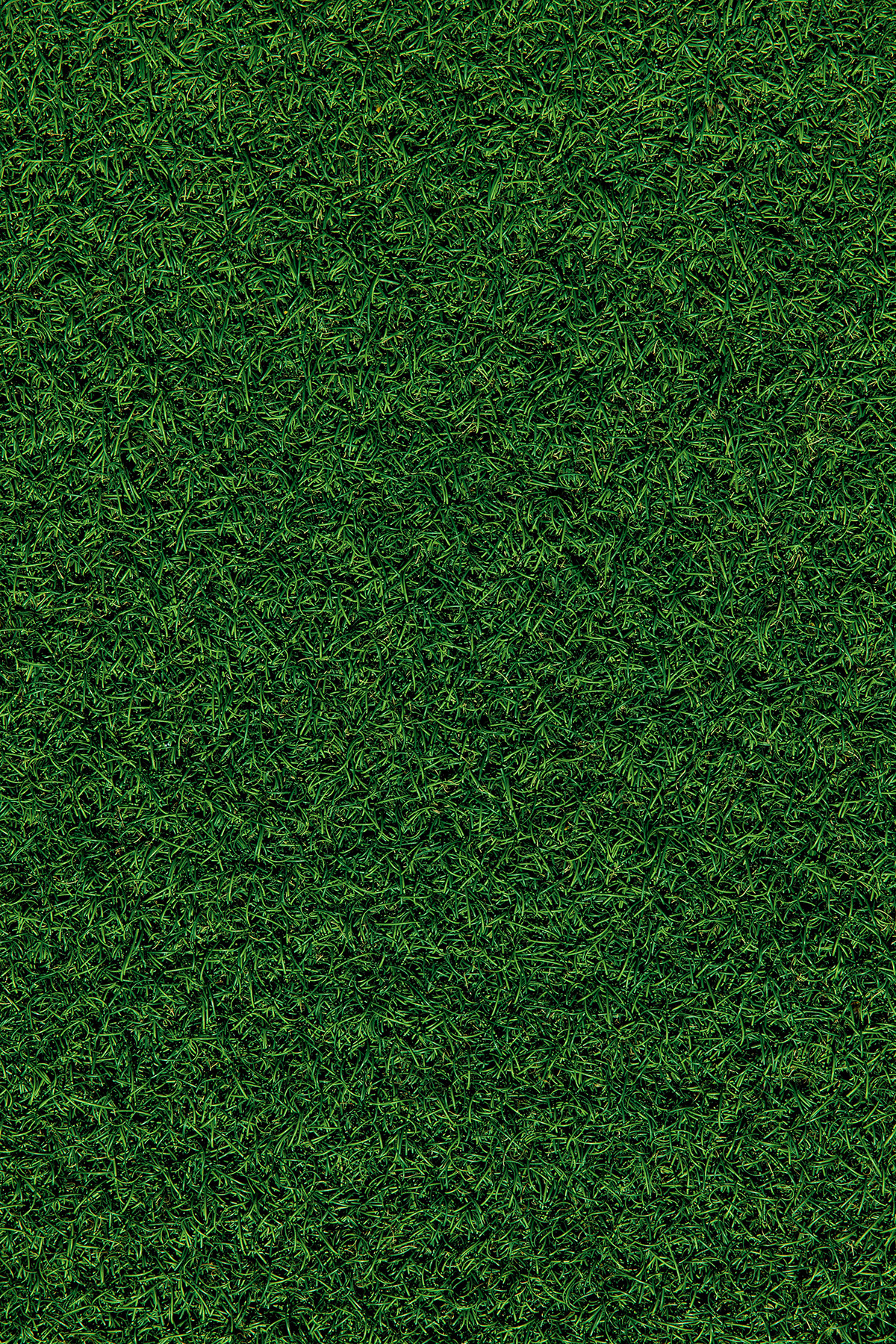 Grass on Behance :: Behance