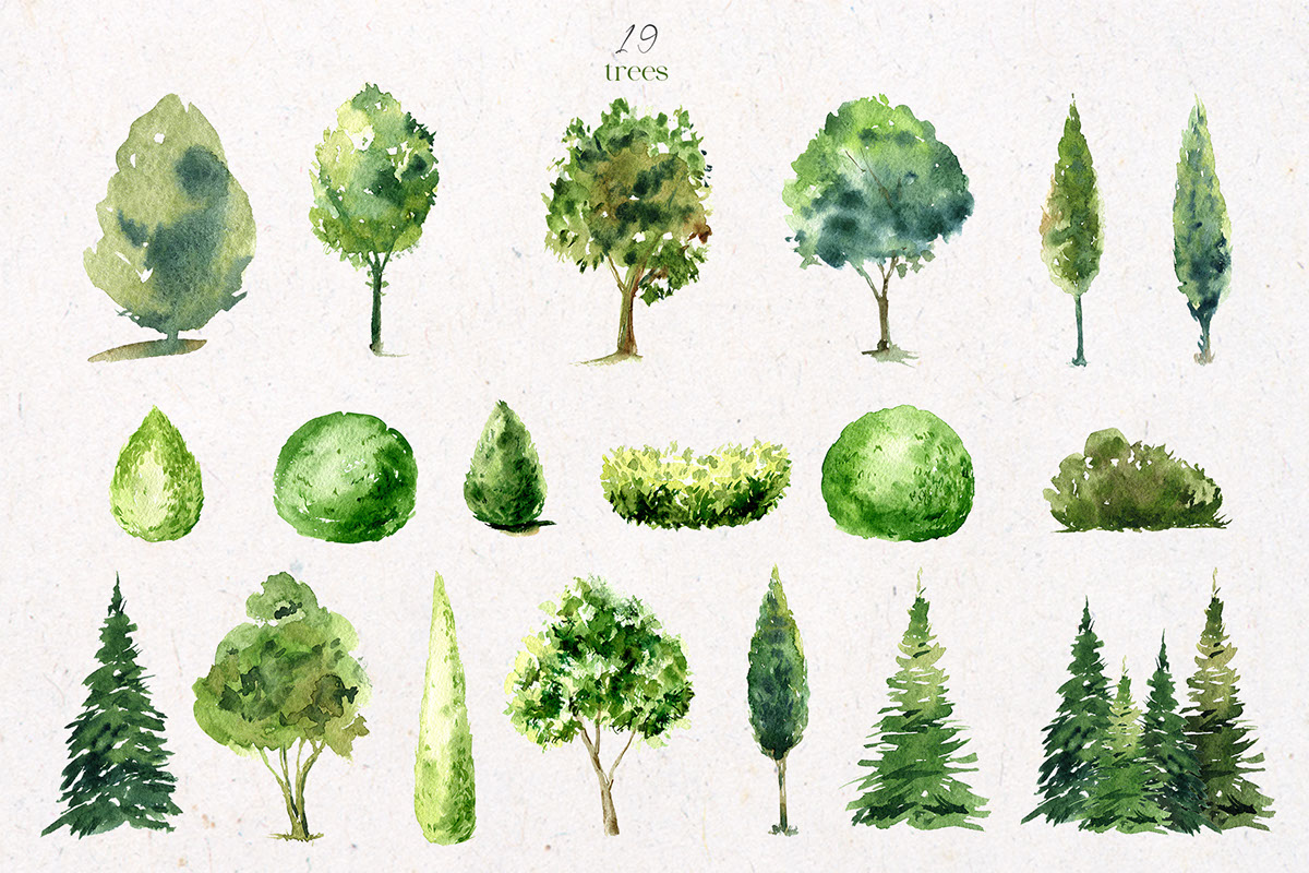 Watercolor Landscape design Trees rendition image