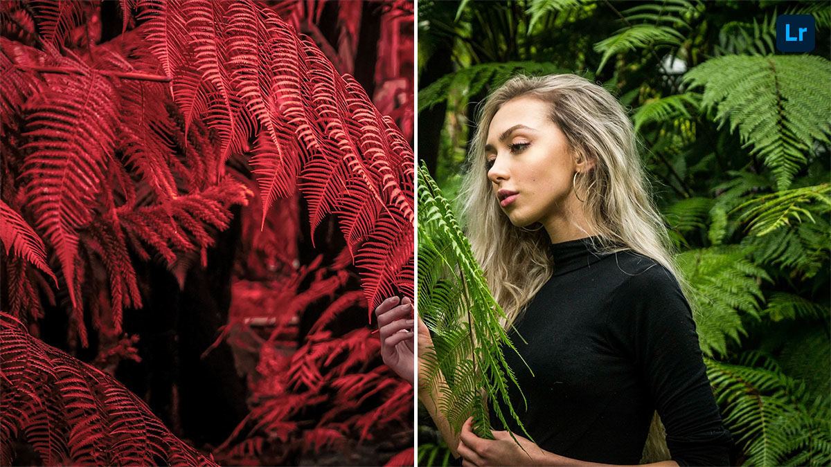 Black and white Remix Lightroom