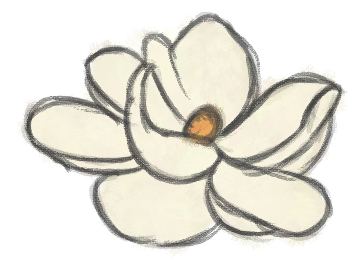 Magnolia2 rendition image