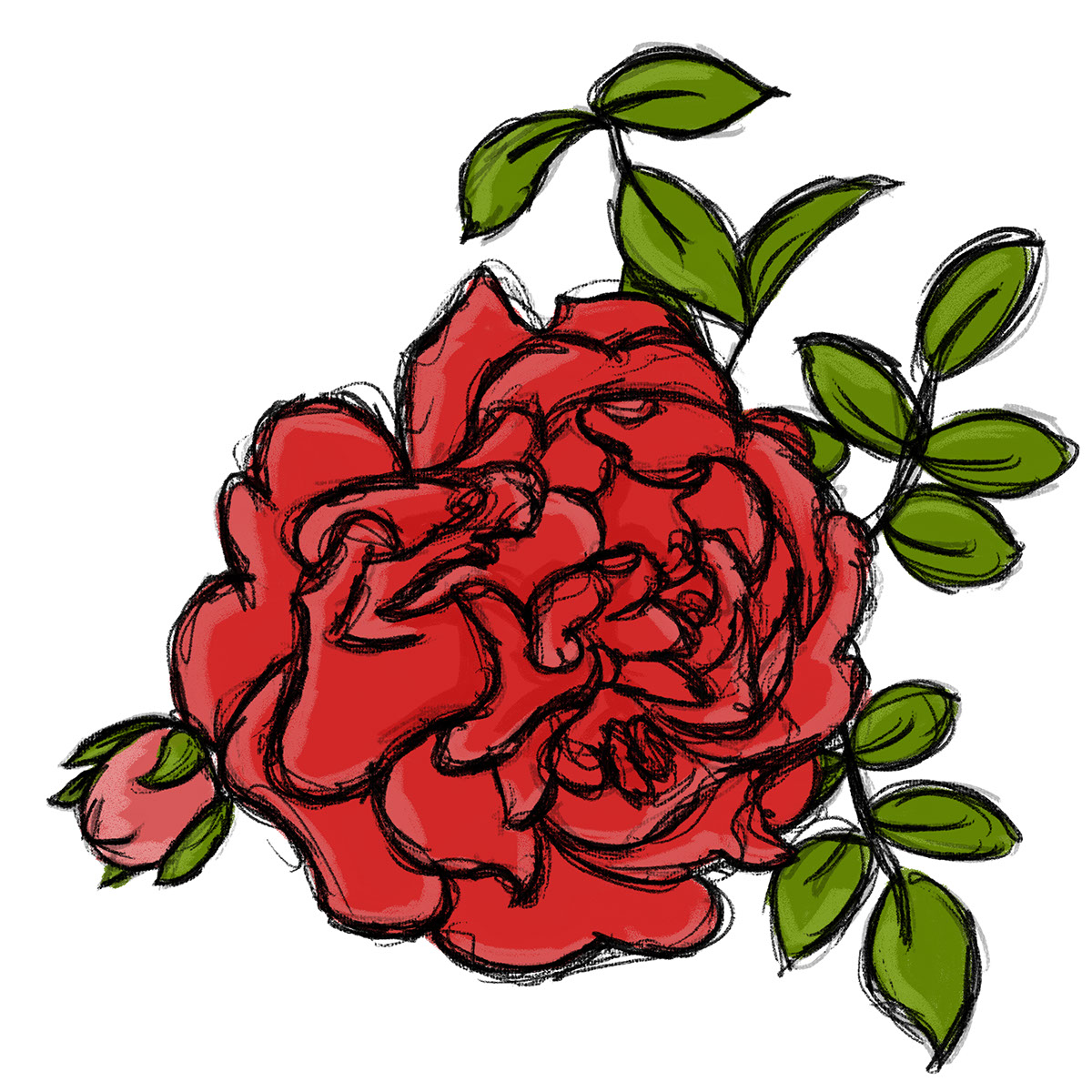 Big Red Rose rendition image