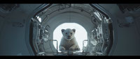 Lone White Lion Cub in Spacecraft Observation Pod