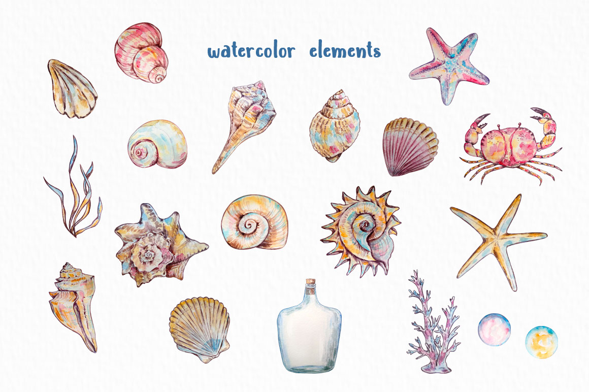 Watercolor Seashell rendition image