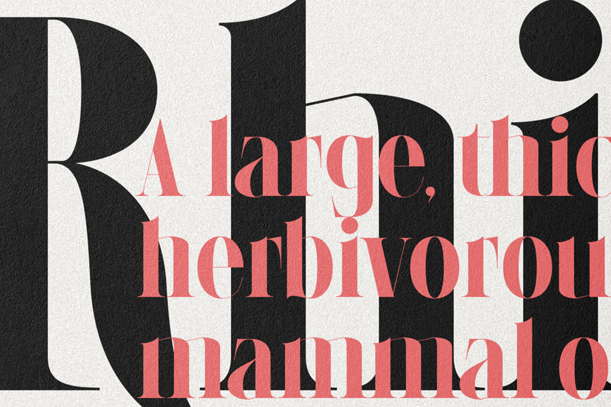 LaRuja - Modern Serif Typeface rendition image