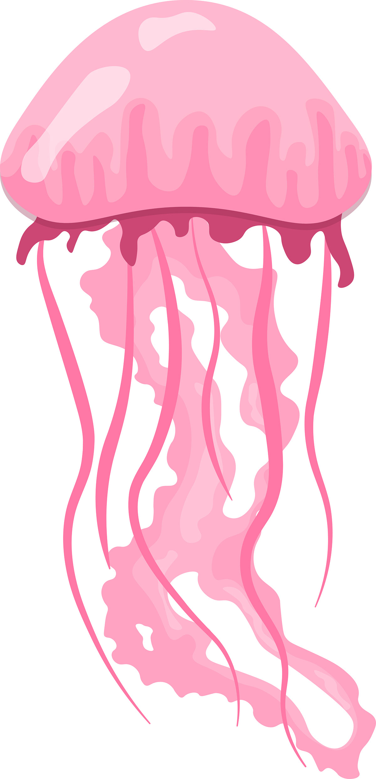 Pink Vector Jellyfish on White Background rendition image