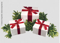 3-gifts-on-fir-branches-isolated-Photoshop-file