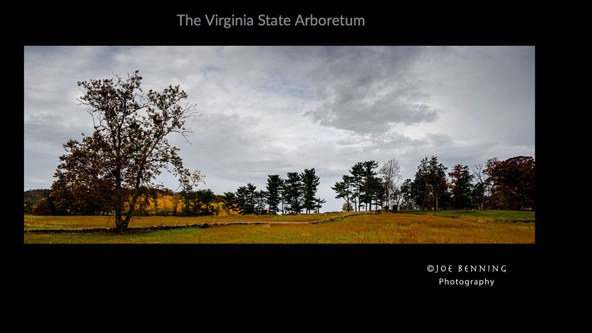 The Virginia State Arboretum The Virginia State Arboretum